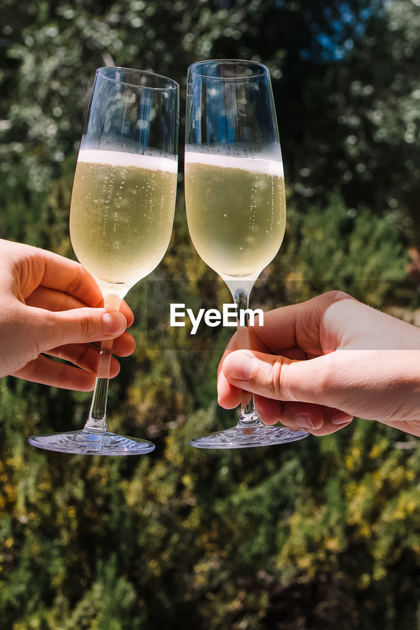 Female and male hands holding two glasses with sparkling white wine close-up over the greenery