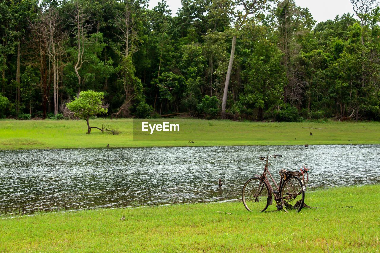 BICYCLE BY POND IN A FOREST