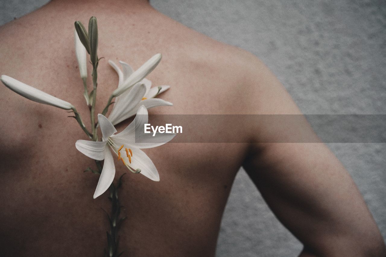 Midsection of shirtless man with flower against wall