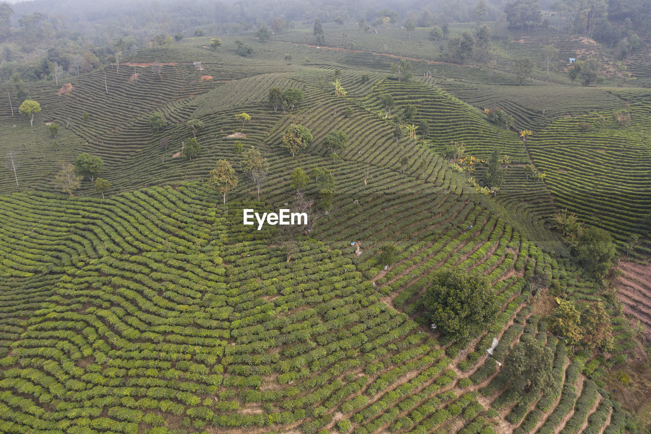 Aerial view of the remote nuogang dai village in lancang, yunnan - china