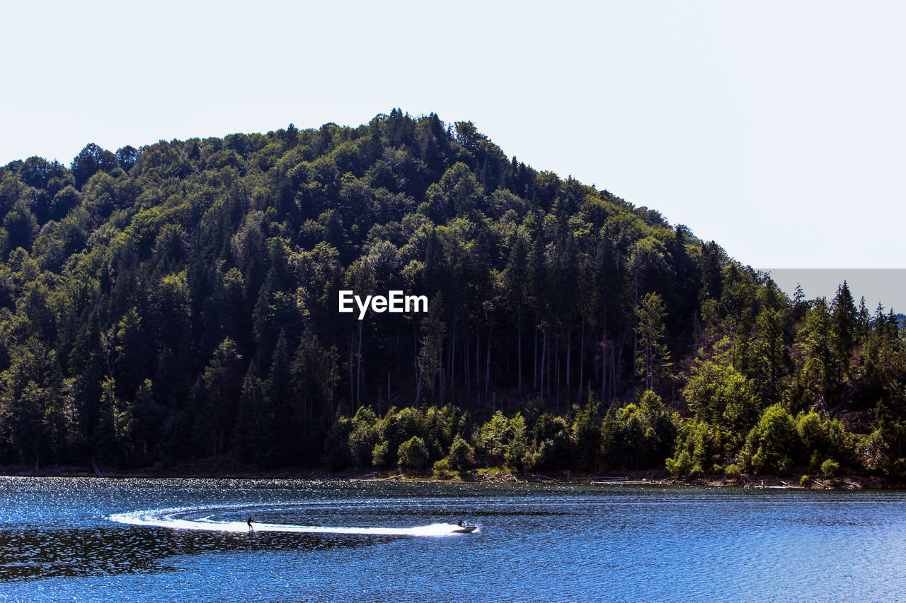 SCENIC VIEW OF LAKE AMIDST TREES AGAINST CLEAR SKY