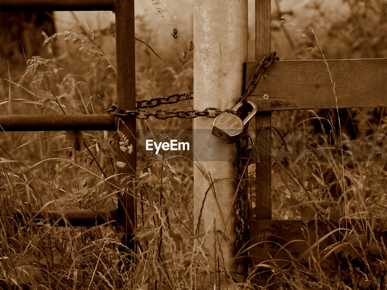 Close-up of rusty pipe on field