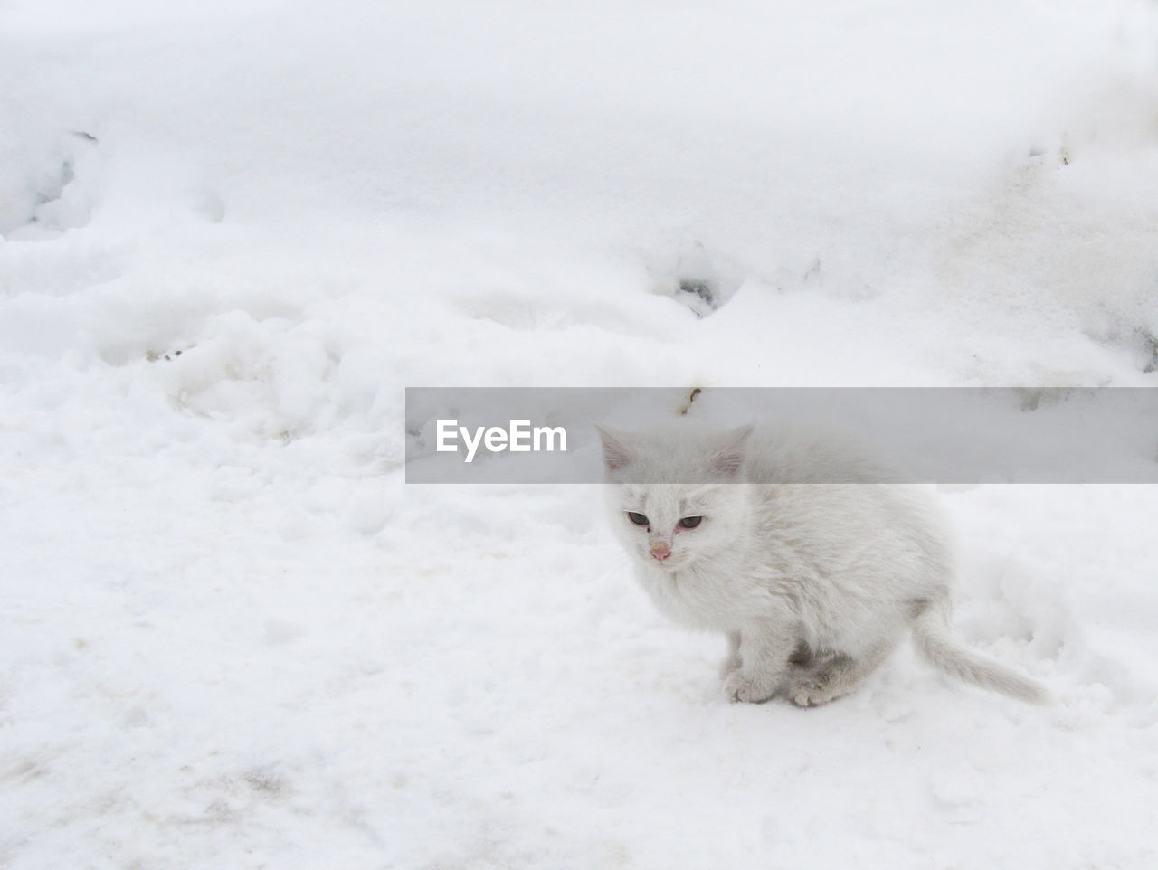 HIGH ANGLE VIEW OF A SNOW