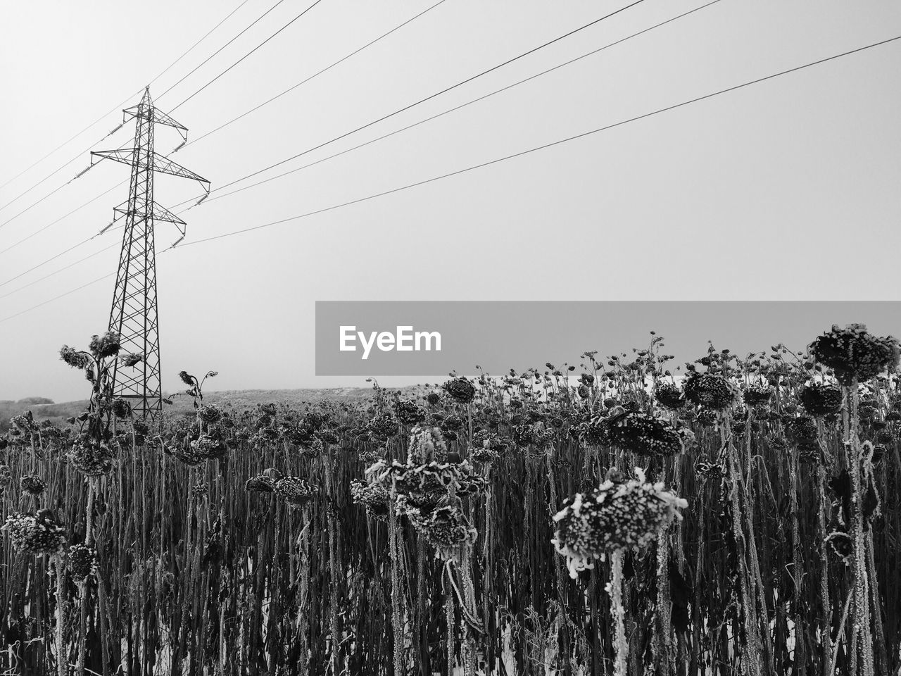 Low angle view of electricity pylon on field against clear sky