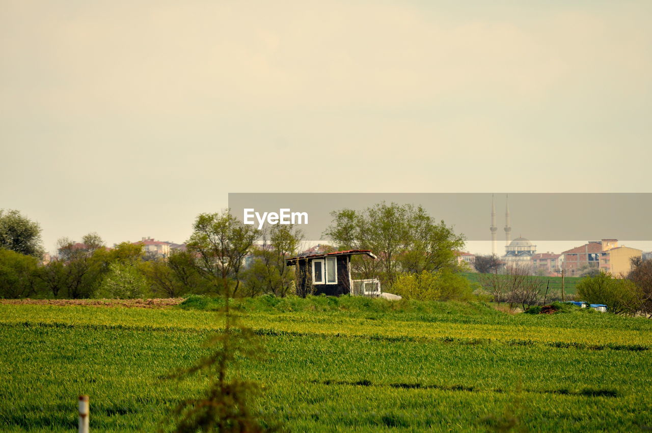 Scenic view of grassy field against cloudy sky