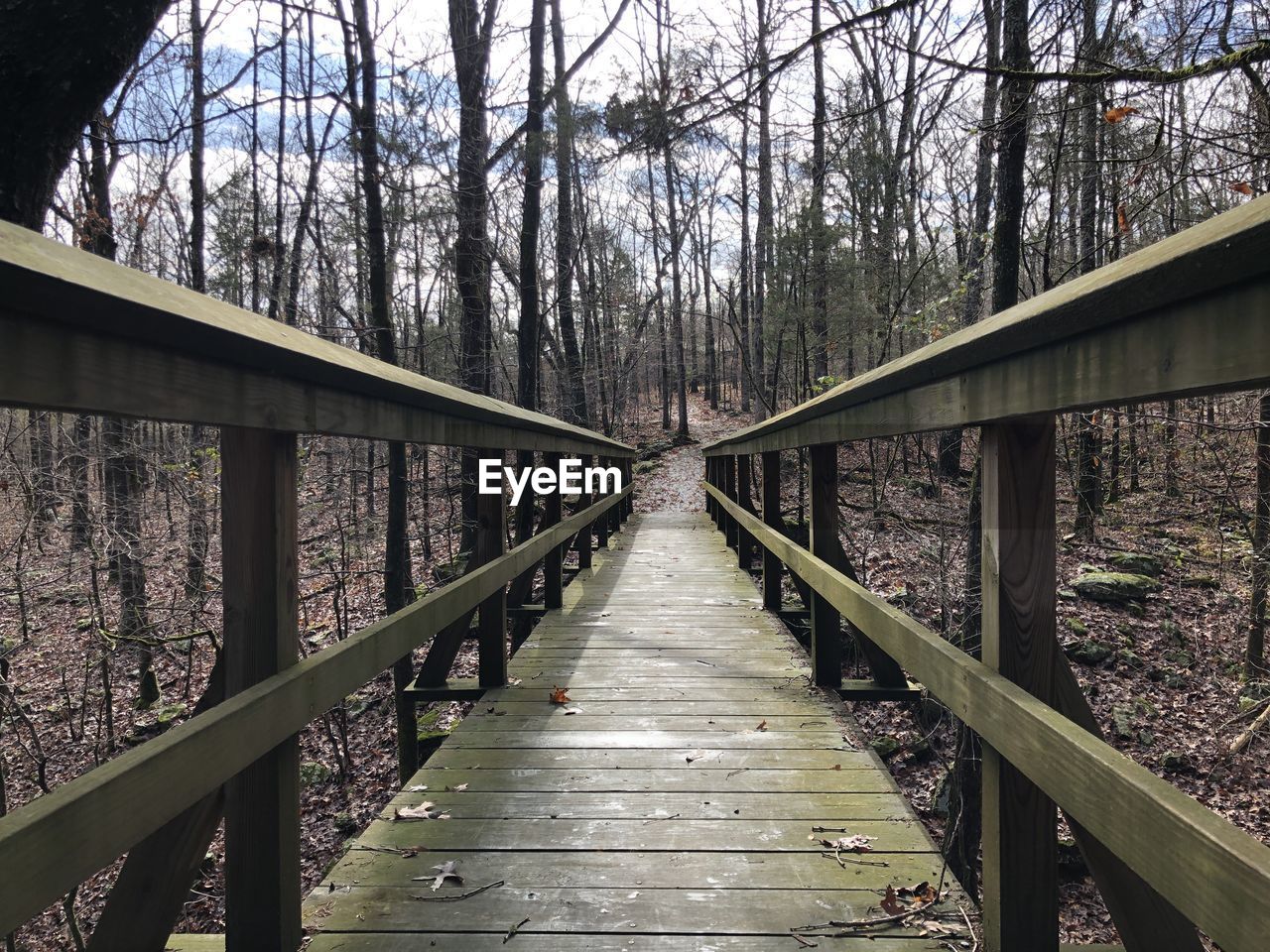 WOODEN FOOTBRIDGE ALONG TREES IN FOREST