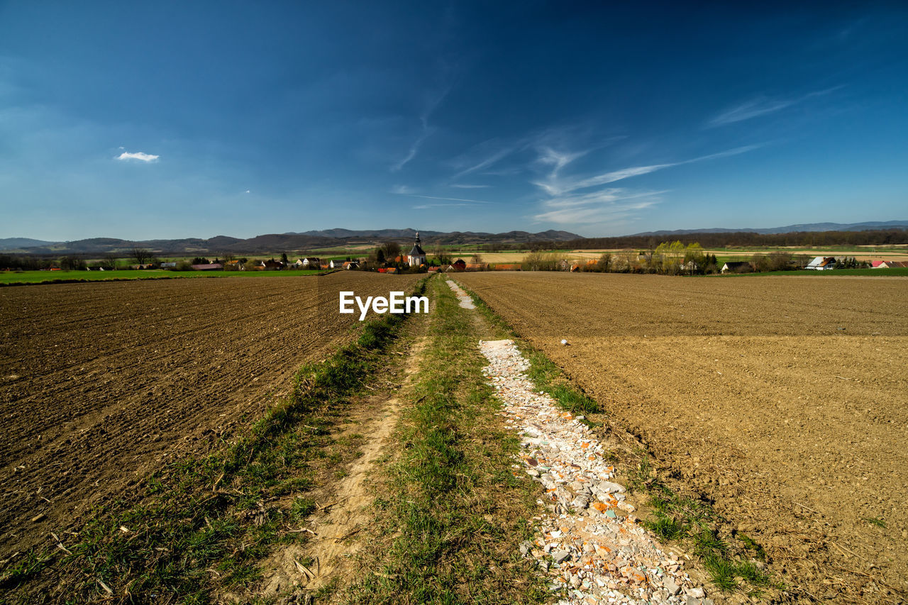Scenic view of agricultural field against sky