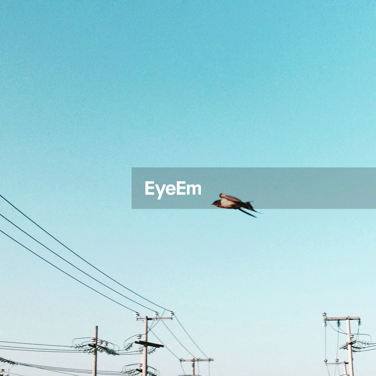 High section of electricity pylons against blue sky