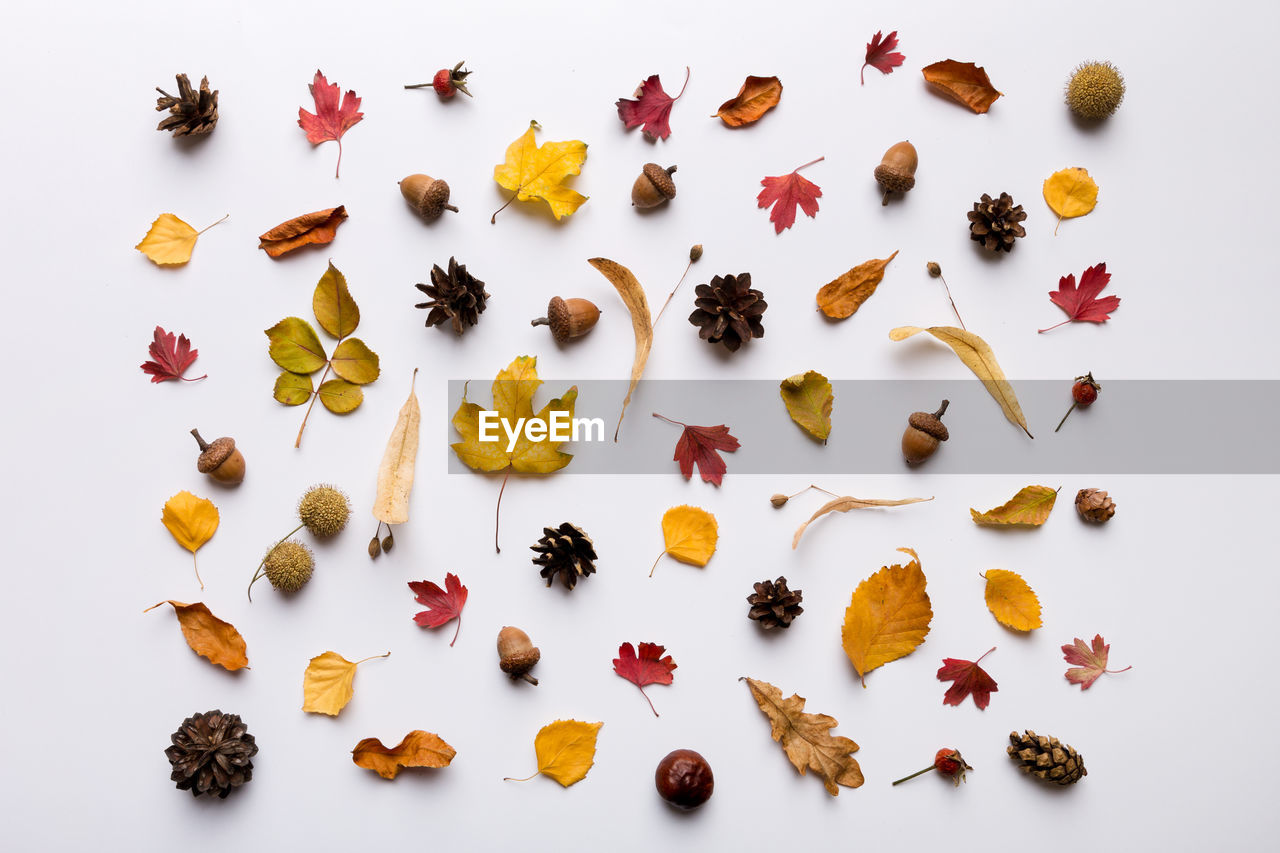 full frame shot of food on white background