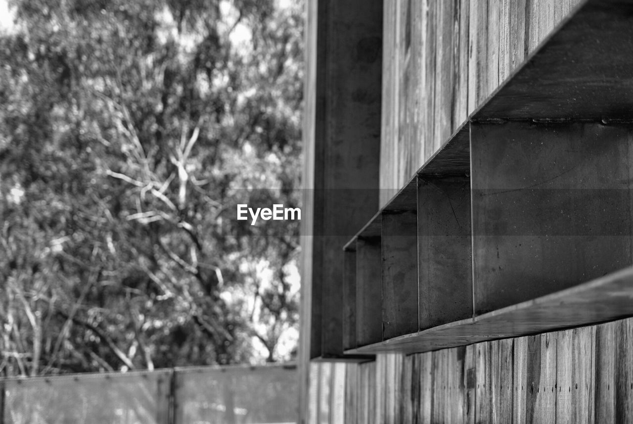 LOW ANGLE VIEW OF BUILDING BY TREES