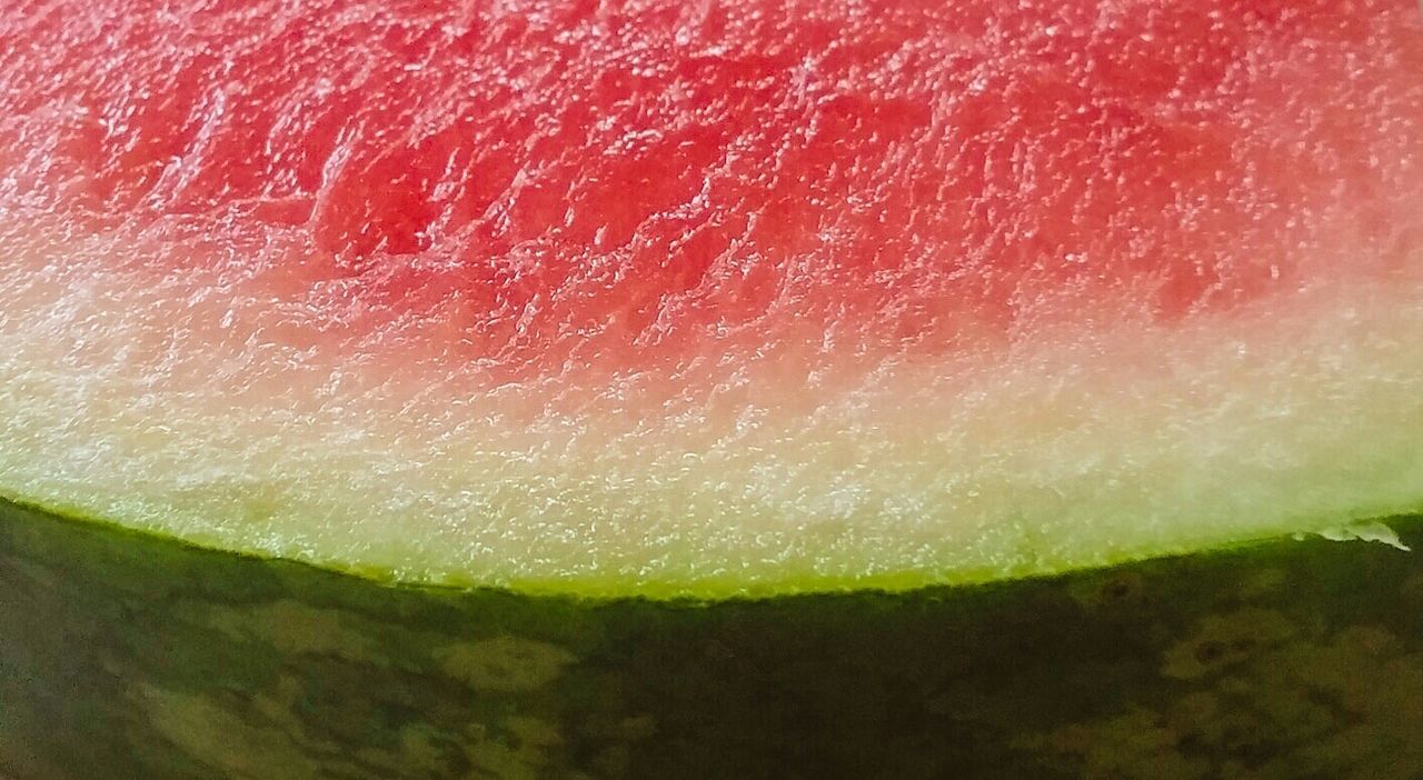 Close-up of watermelon