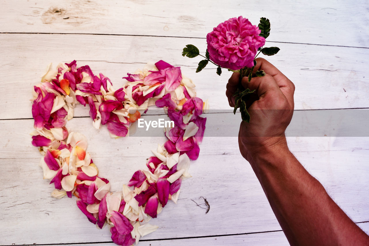Cropped image of hand holding flower by heart shape made from rose petals on table