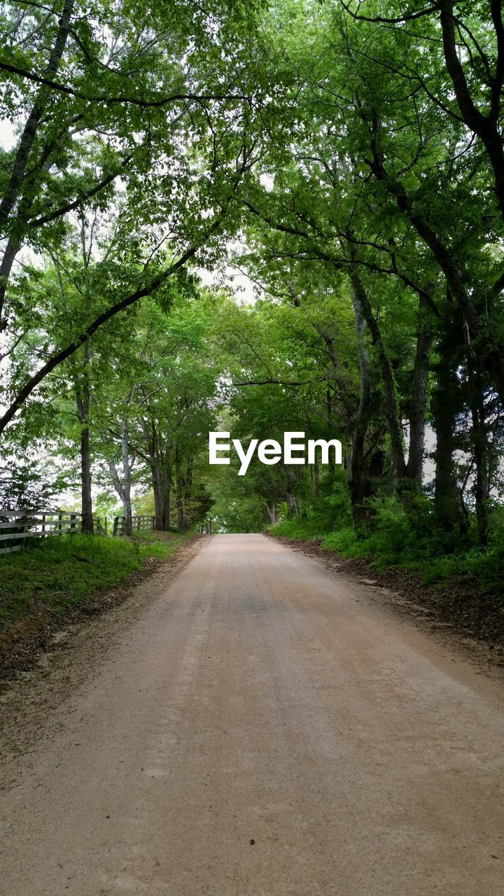 EMPTY ROAD PASSING THROUGH FOREST