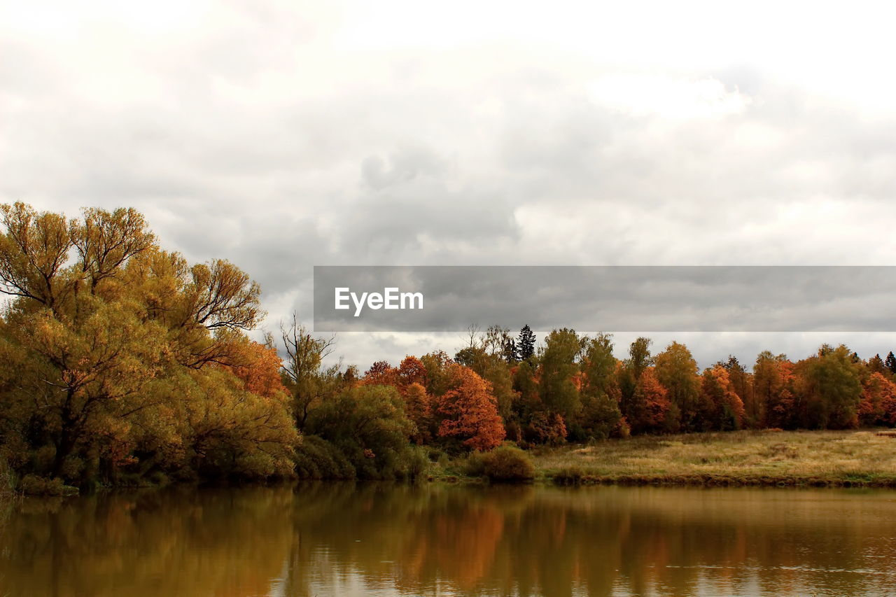 Scenic view of lake by trees against sky