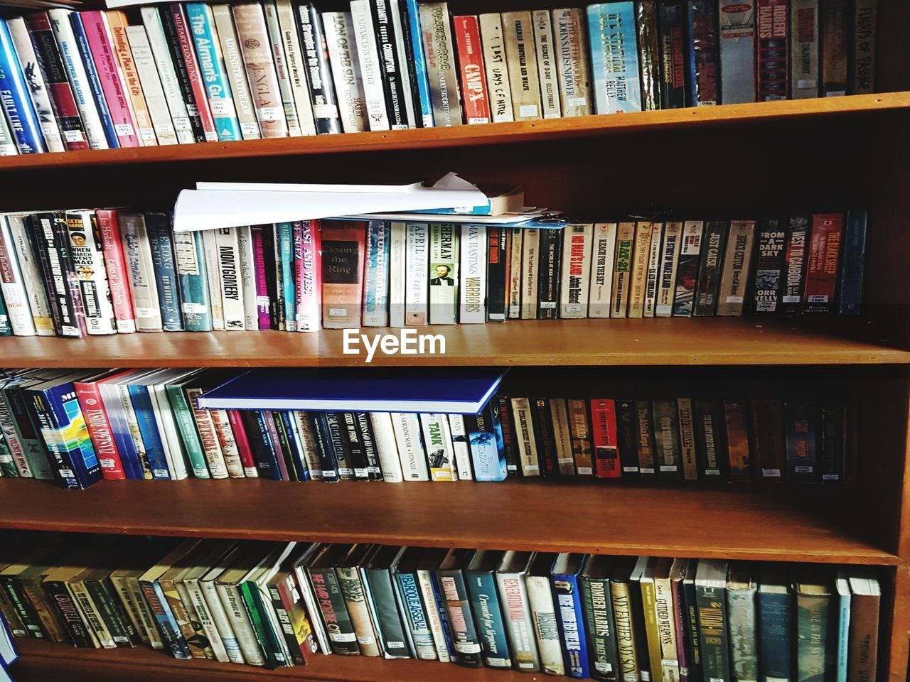 ROW OF BOOKS IN LIBRARY