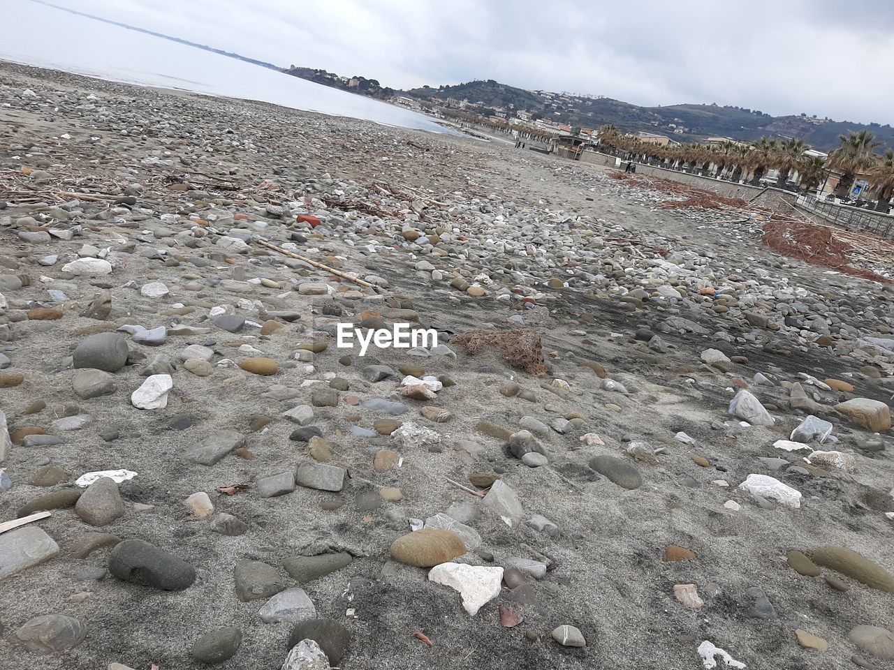 SCENIC VIEW OF BEACH