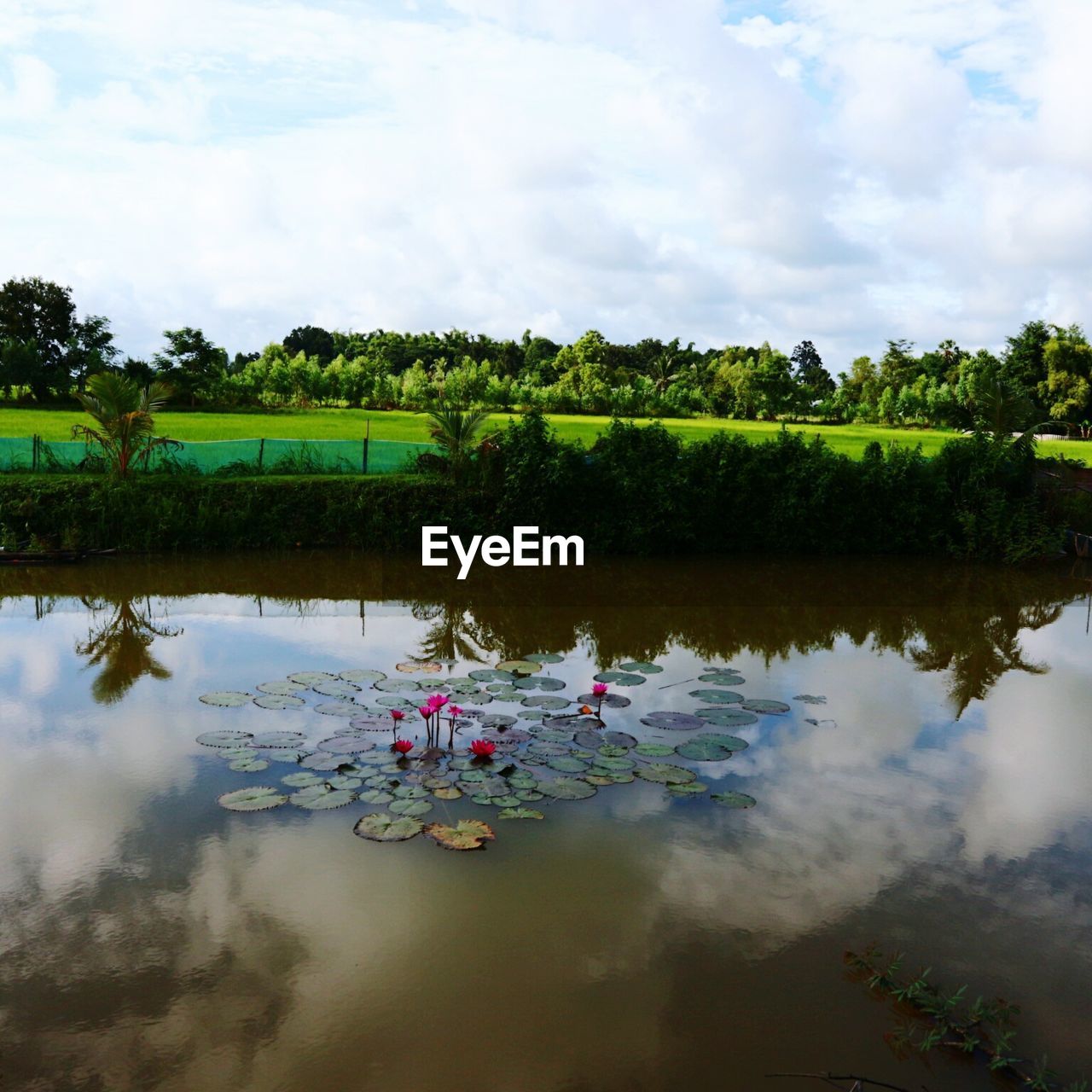 SCENIC VIEW OF LAKE