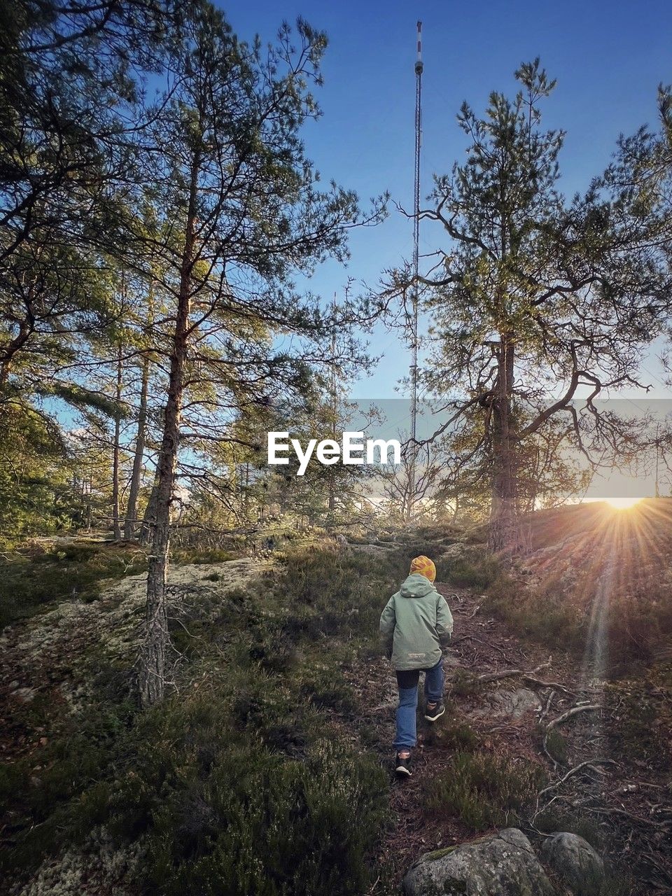 rear view of man walking on road amidst trees against sky