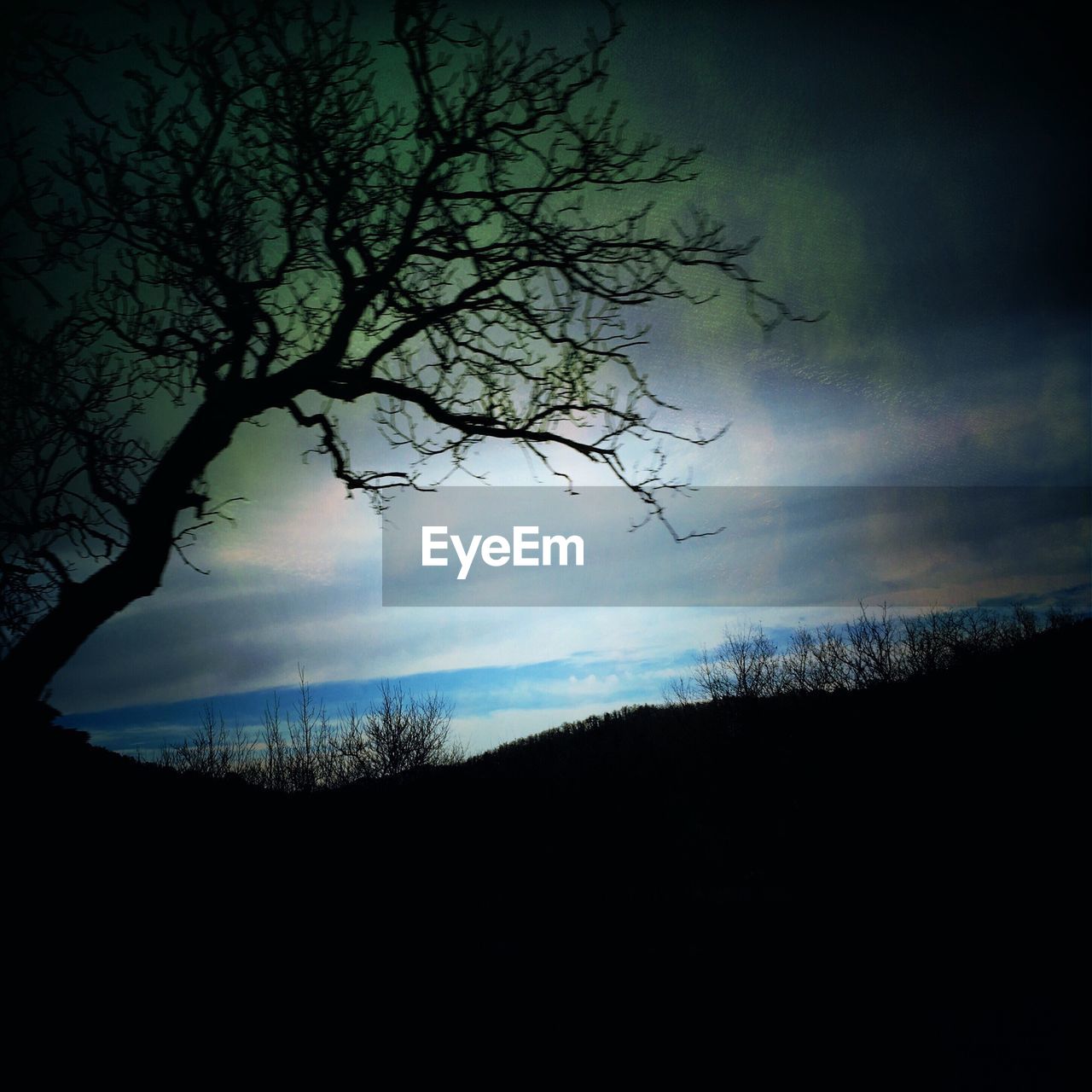 LOW ANGLE VIEW OF SILHOUETTE TREE AGAINST SKY