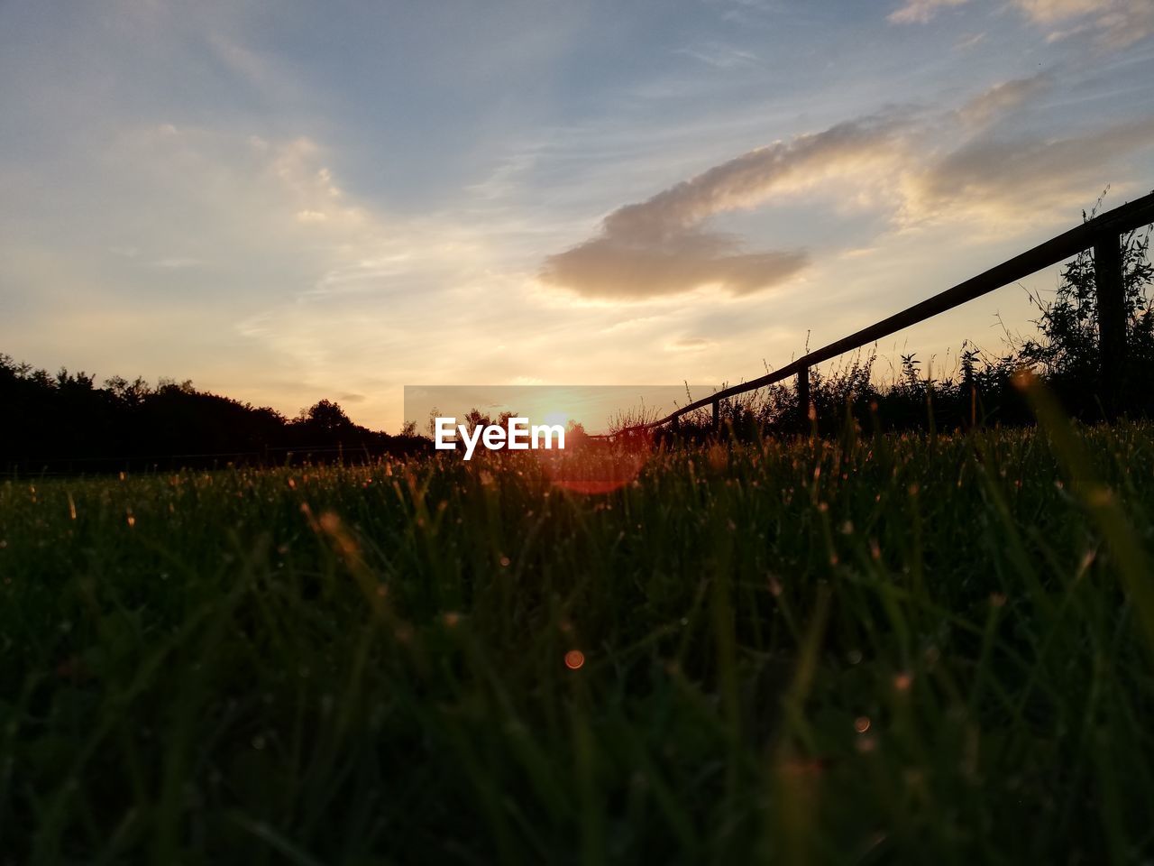 FIELD AGAINST SKY DURING SUNSET