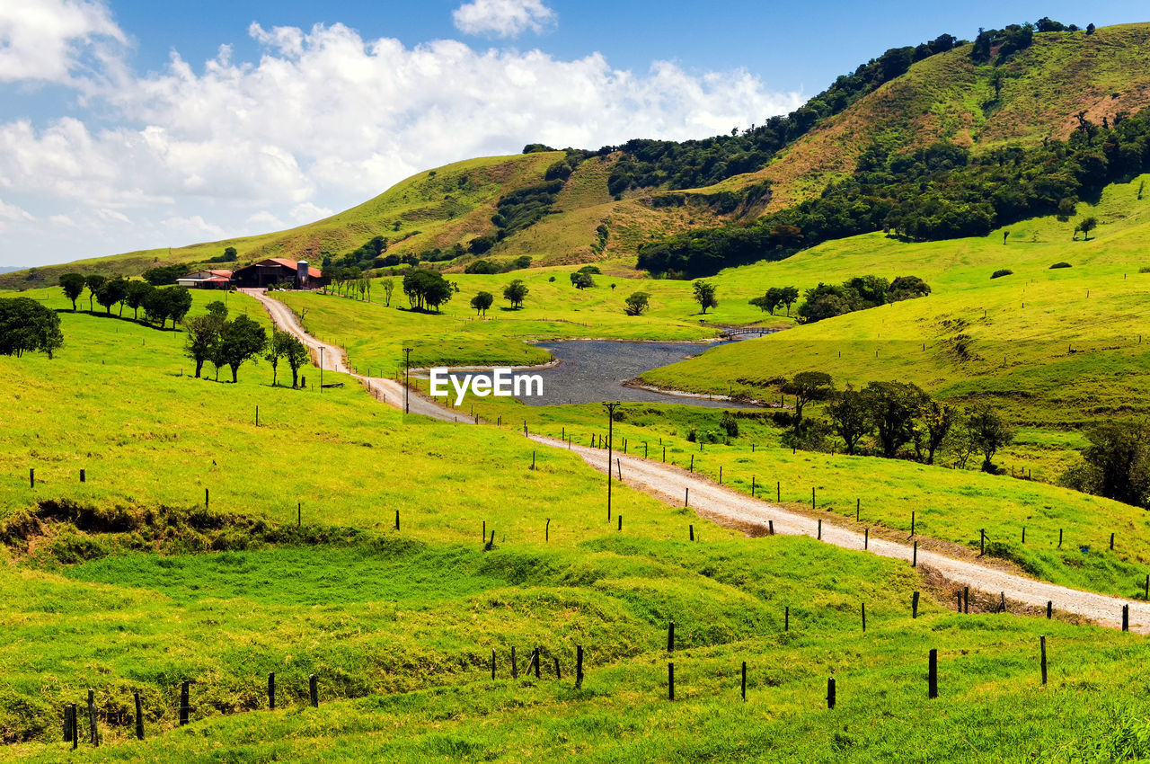 SCENIC VIEW OF GREEN FIELD AGAINST SKY