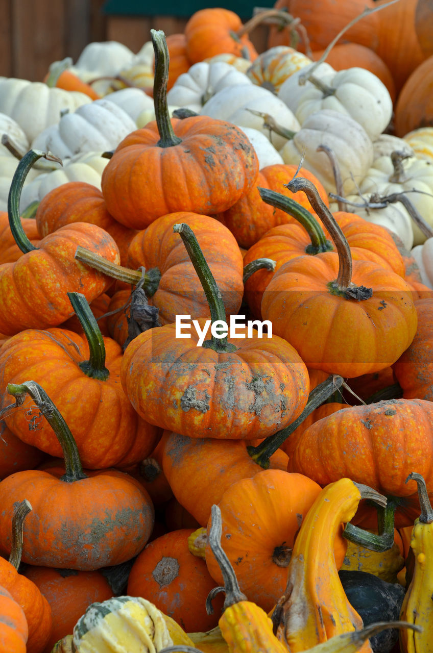 FULL FRAME SHOT OF PUMPKINS AT MARKET STALL