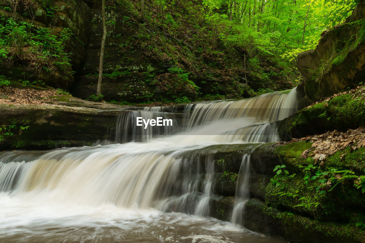 View of waterfall in forest