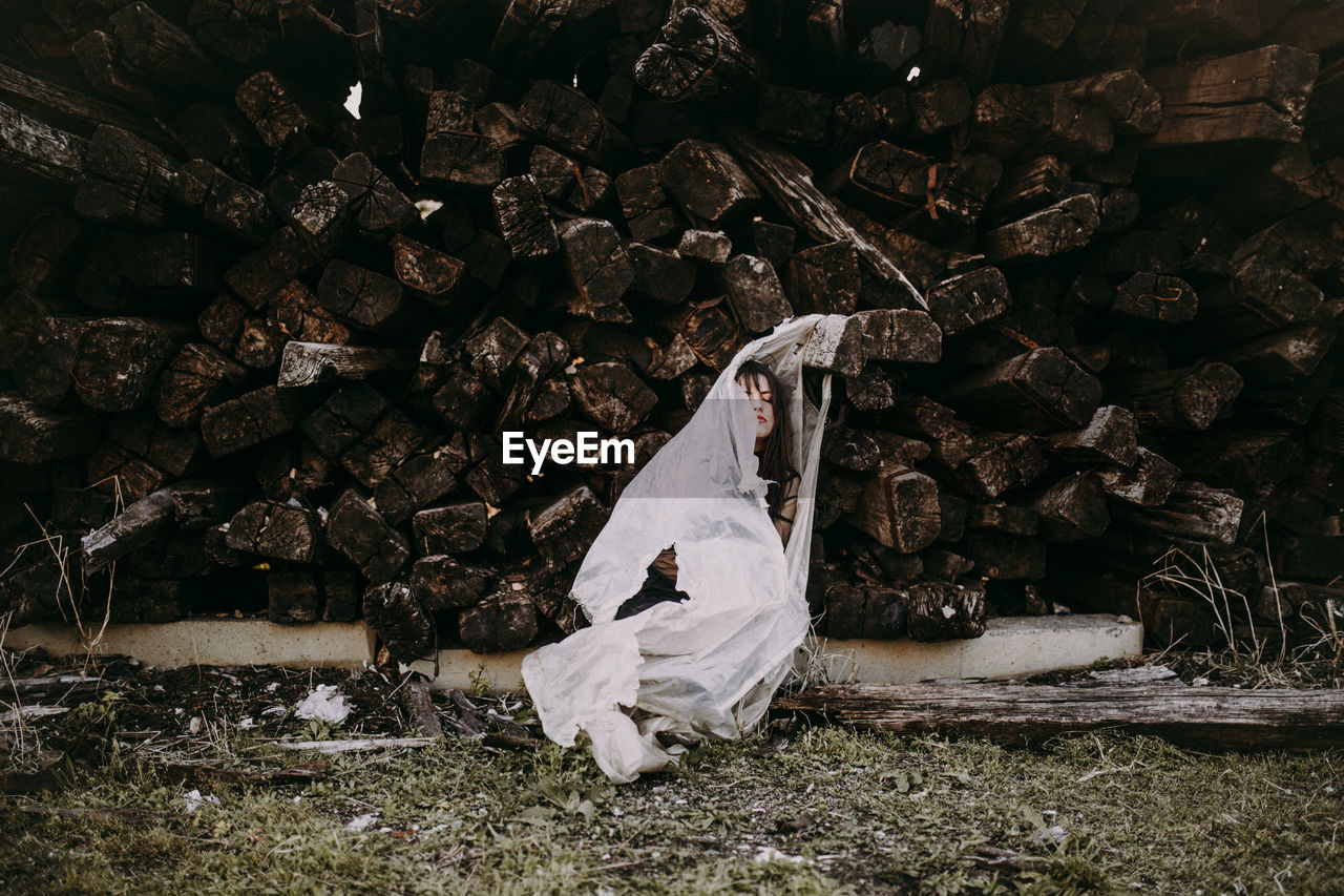 Stack of logs in forest