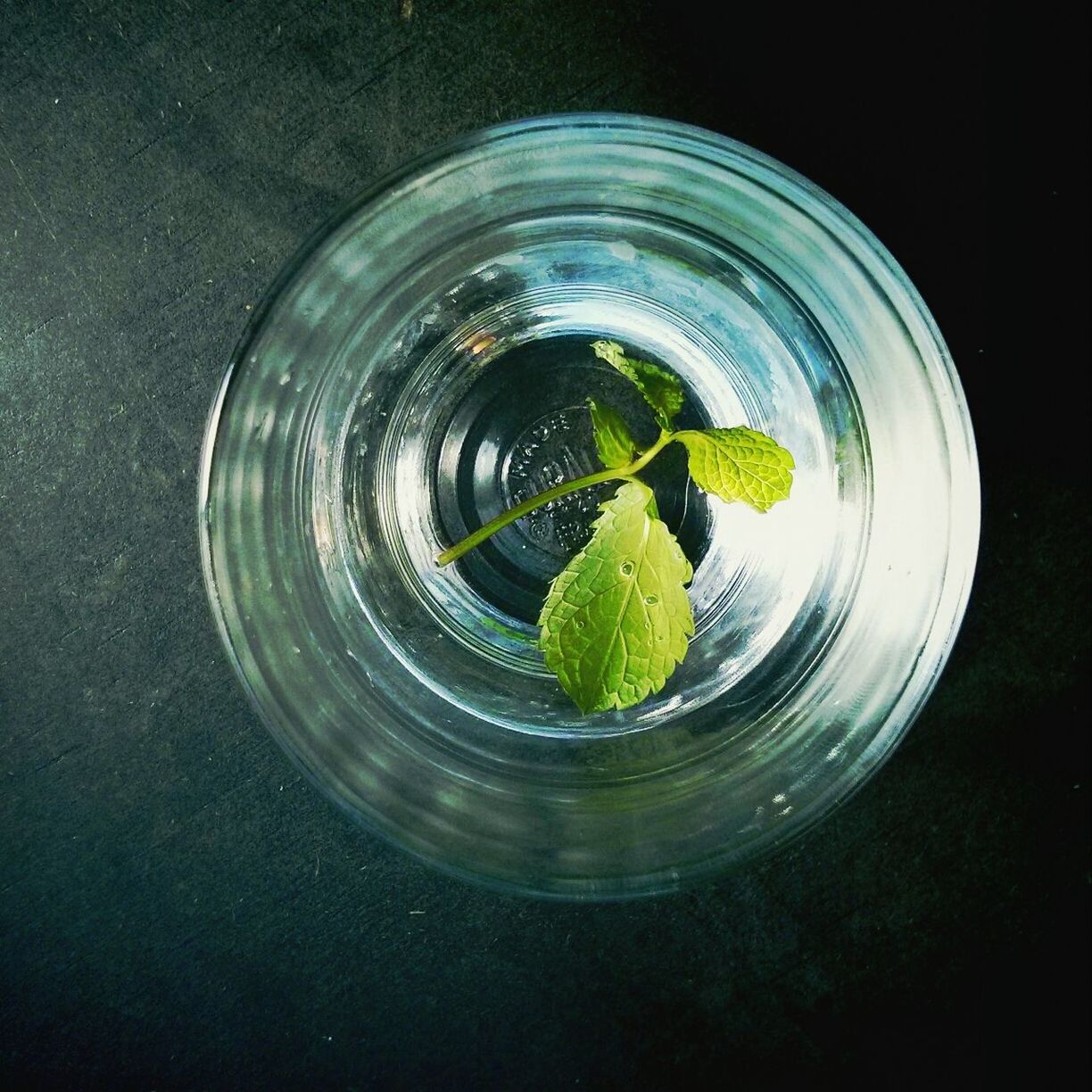 Close-up of mint leaf with glass of water