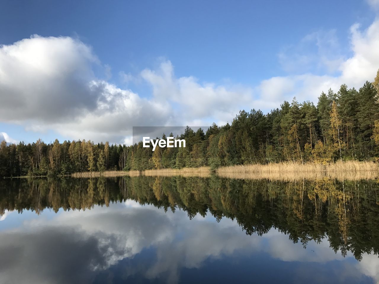 REFLECTION OF TREES IN CALM LAKE AGAINST CLOUDS