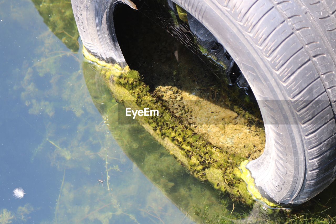 High angle view of tire in mossy lake