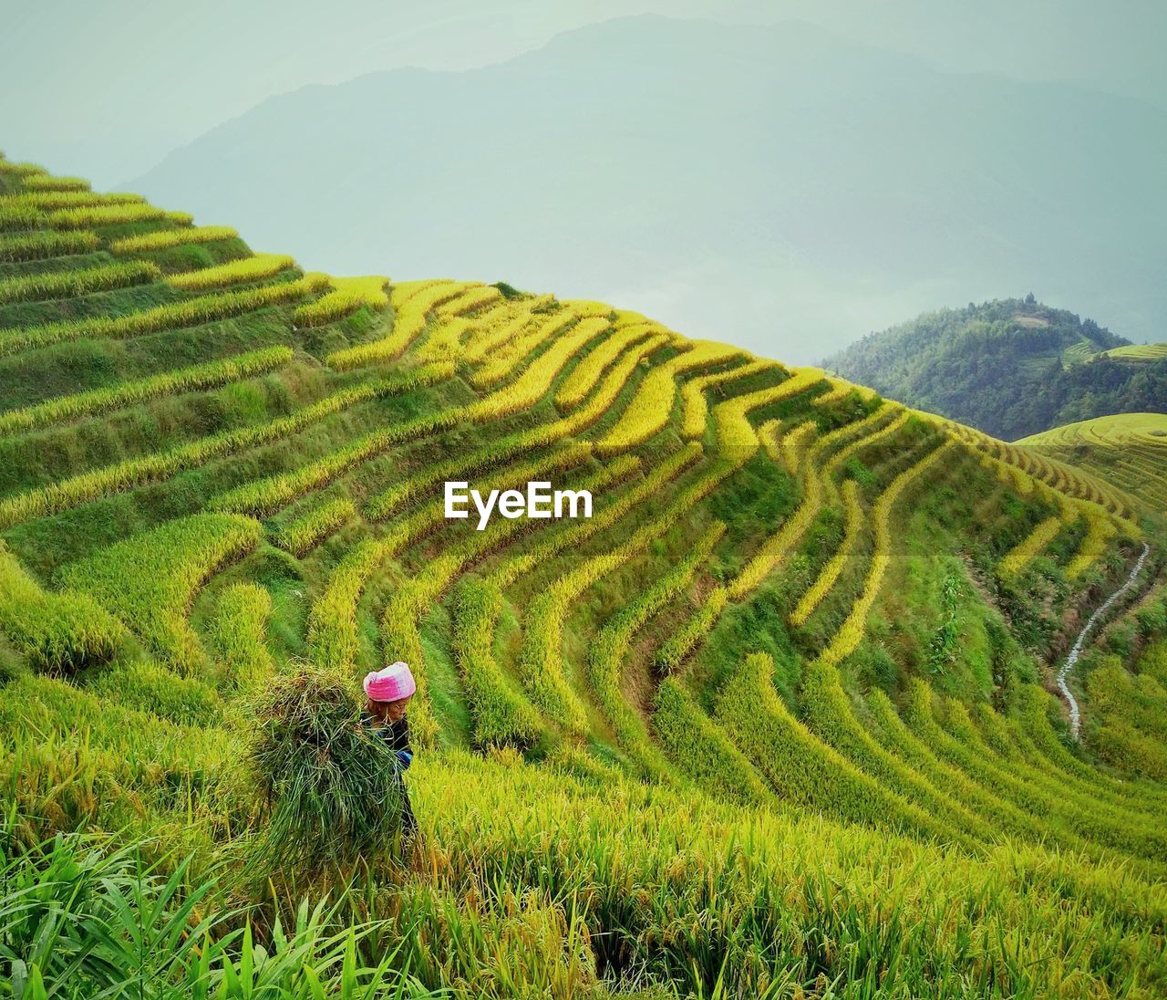 Side view of woman working at farm