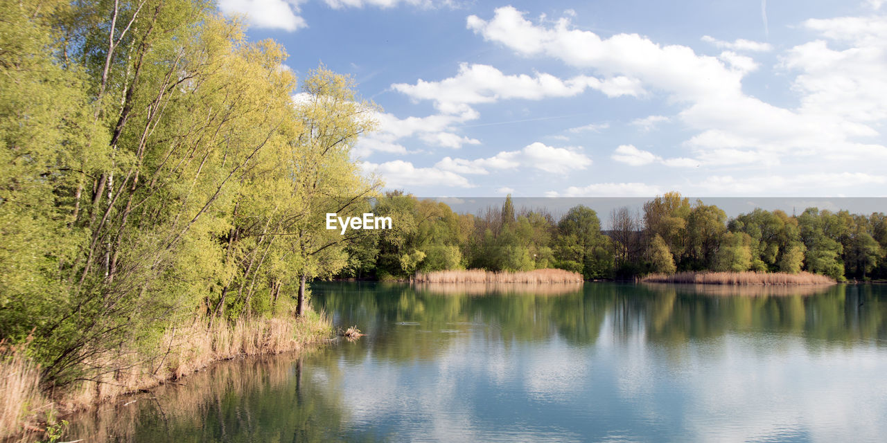 Scenic view of lake by trees against sky