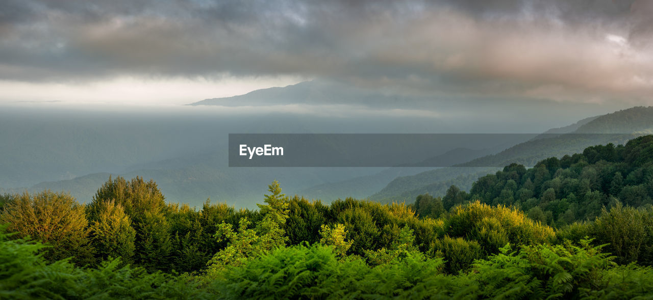 SCENIC VIEW OF MOUNTAIN AGAINST SKY