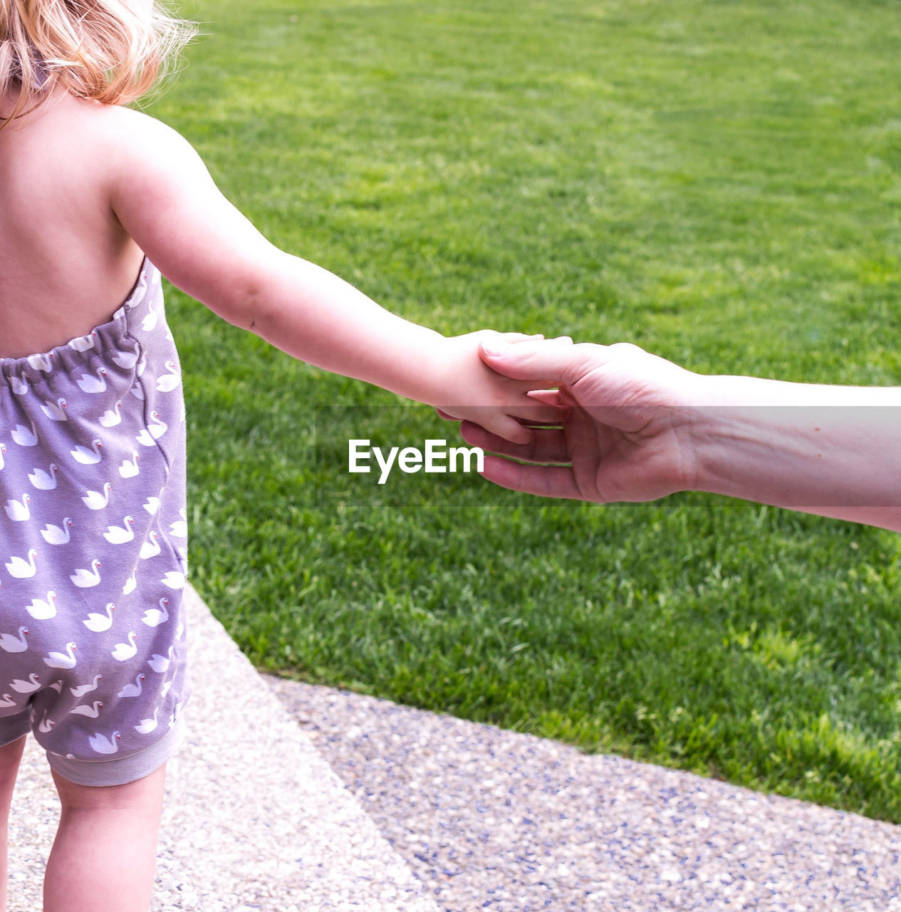 Rear view of girl holding hand of parent by field