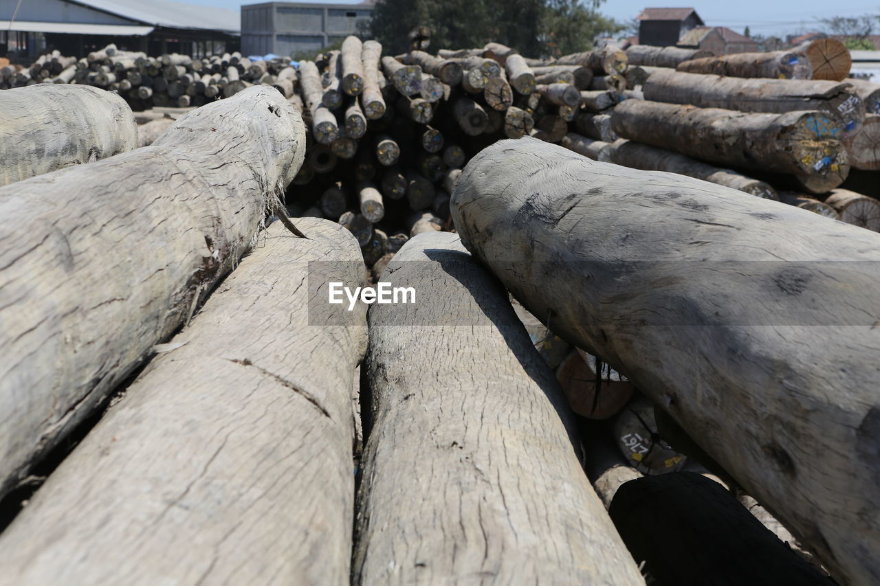 STACK OF LOGS ON WOOD IN FOREST