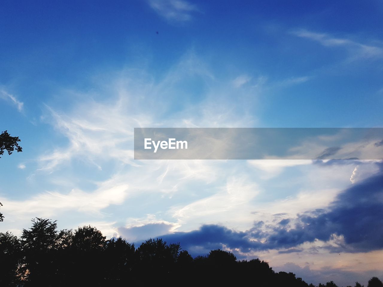 LOW ANGLE VIEW OF SILHOUETTE TREES AGAINST SKY DURING SUNSET