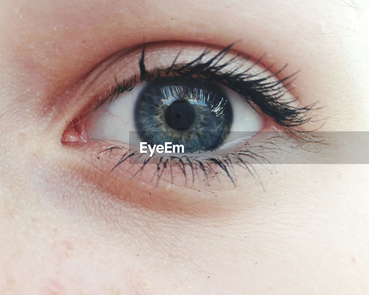 Detail shot of human eye