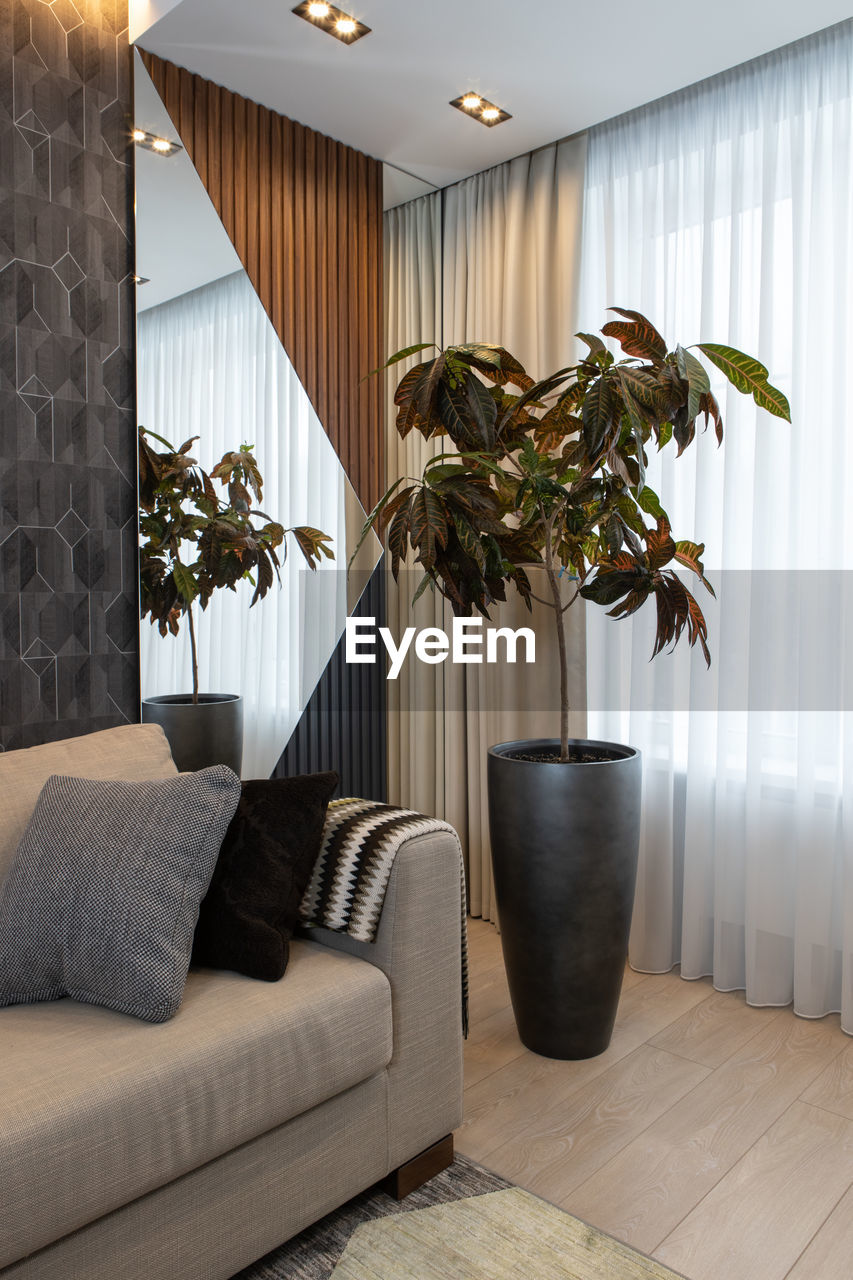 Interior of living room in neutral  tones. large sofa with decorative cushions, potted plant croton