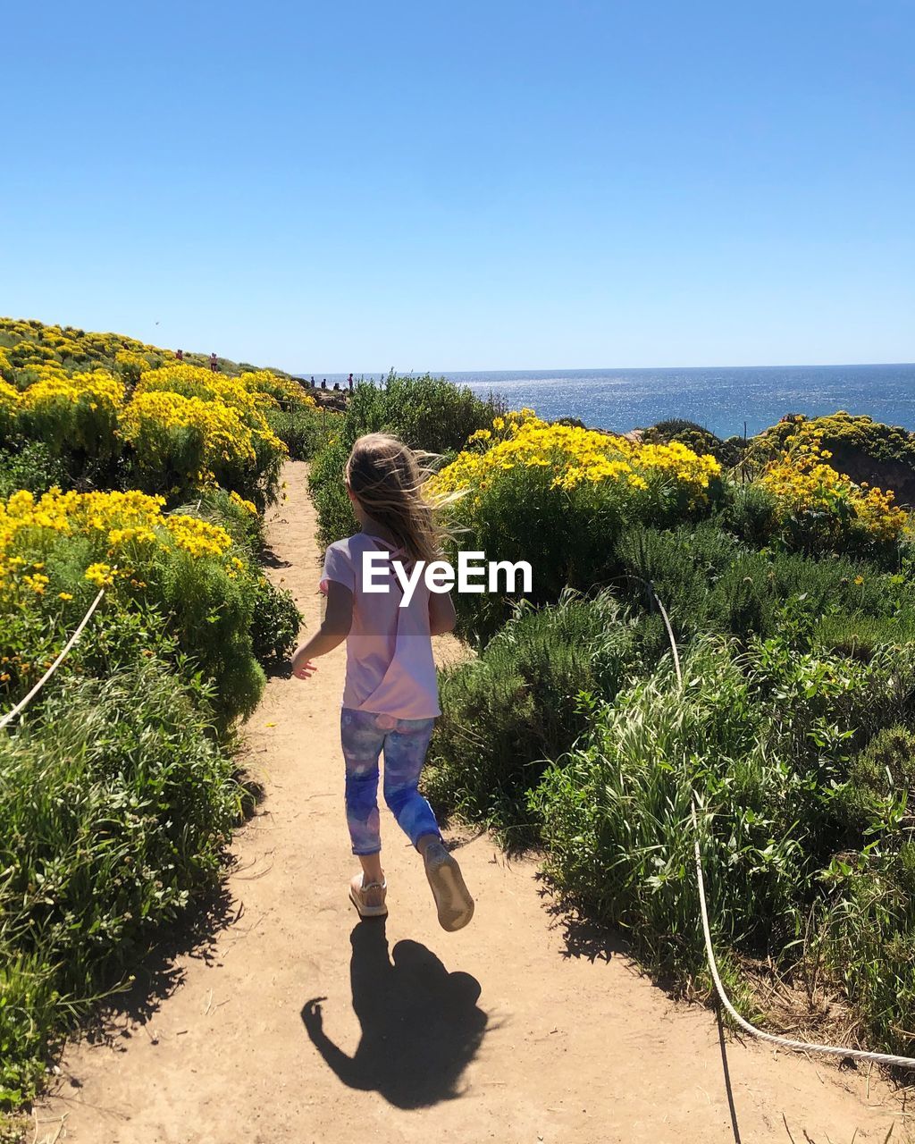 REAR VIEW OF WOMAN WITH PLANTS AGAINST SKY