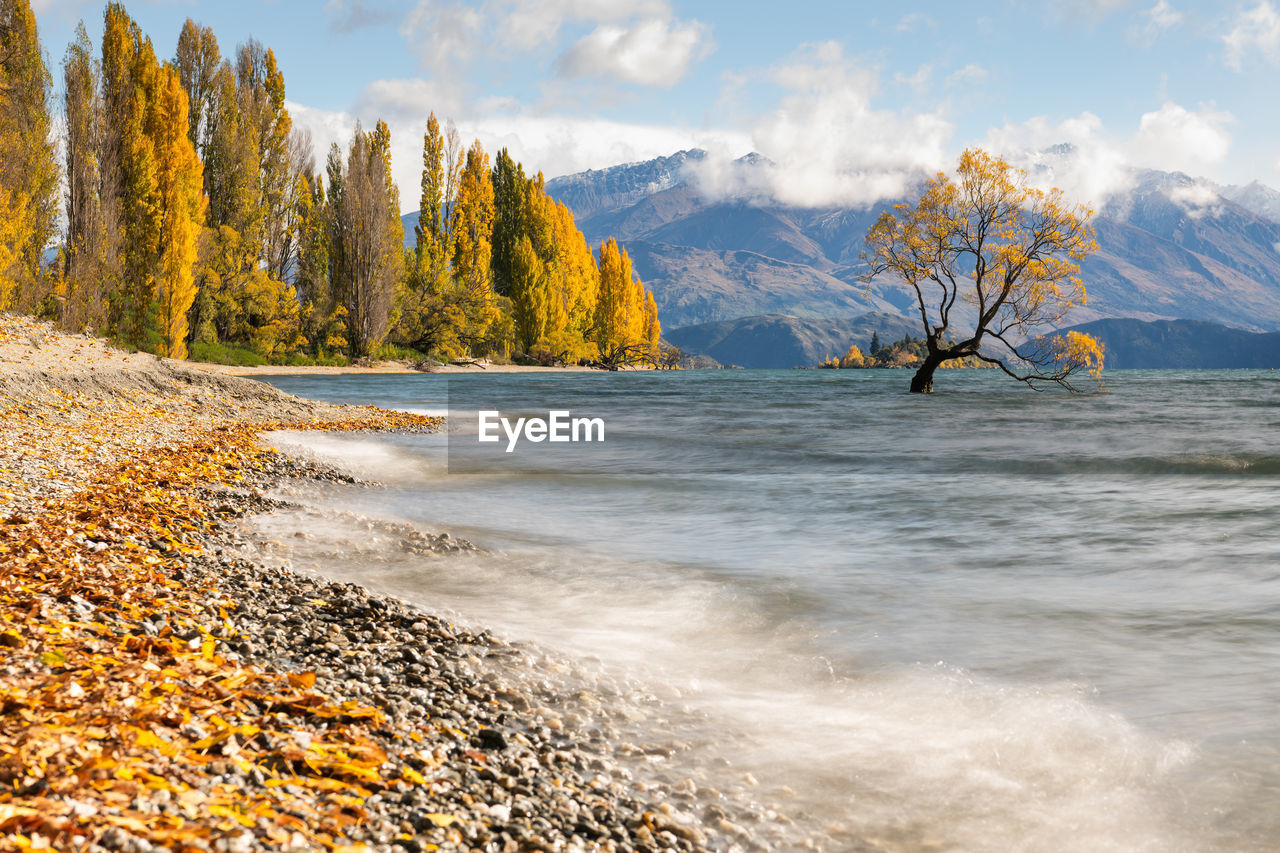 Scenic view of sea lake during autumn