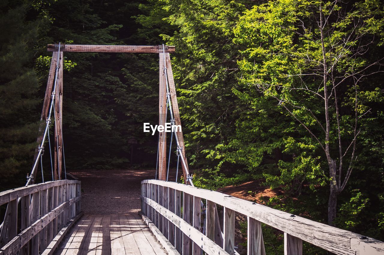 FOOTBRIDGE OVER TREES IN FOREST