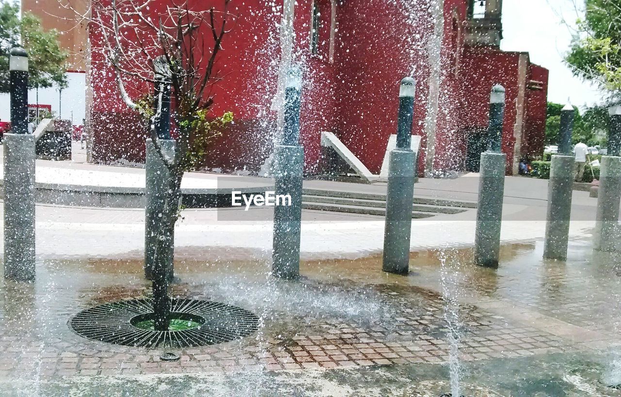 VIEW OF TREES IN THE CITY