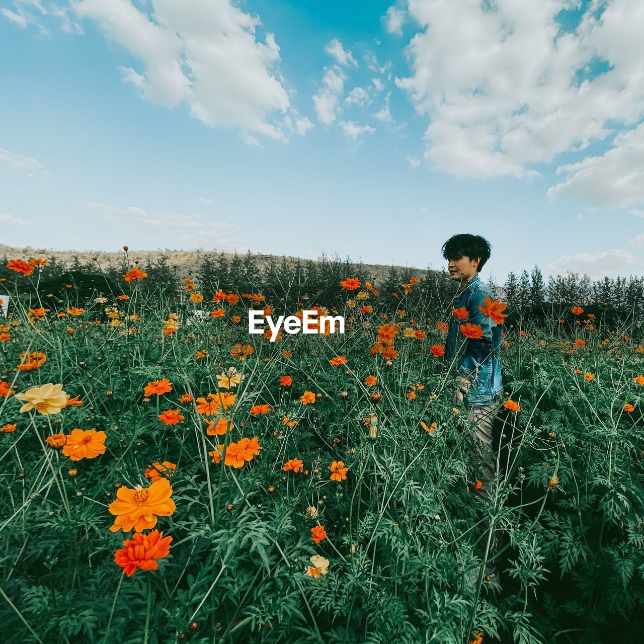 Side view of woman standing amidst flowering plants against sky