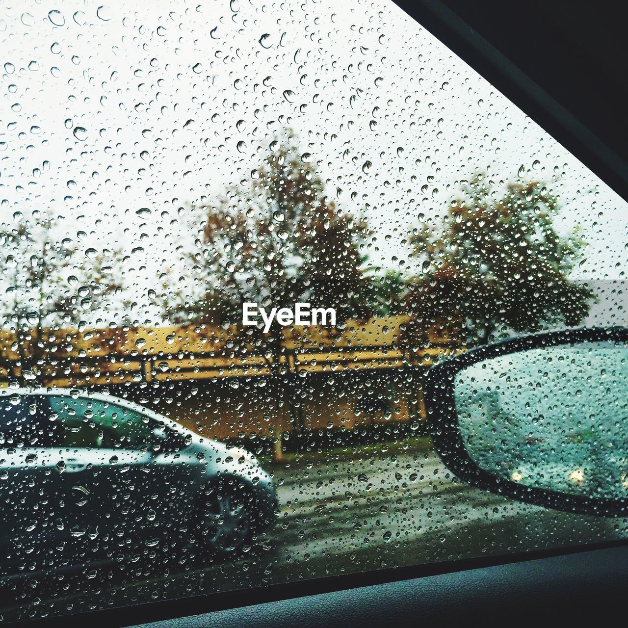 CLOSE-UP OF WATER DROPS ON ROAD