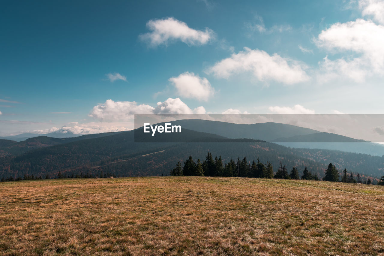 A view of the peaks of the beskid zywiecki mountain range. a meadow in the foreground. poland