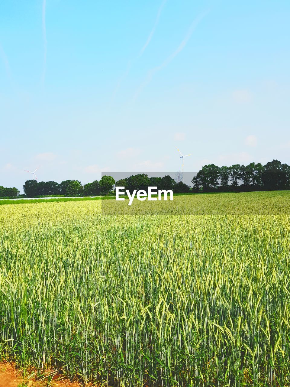 SCENIC VIEW OF FARM FIELD AGAINST SKY