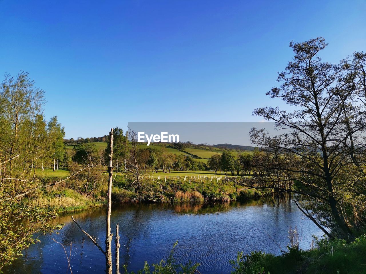 Scenic view of lake against clear blue sky