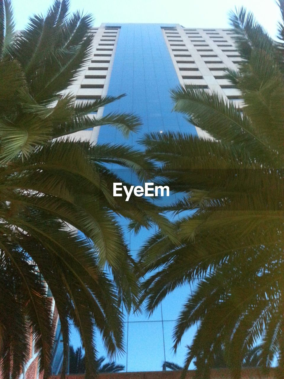 LOW ANGLE VIEW OF TALL BUILDINGS