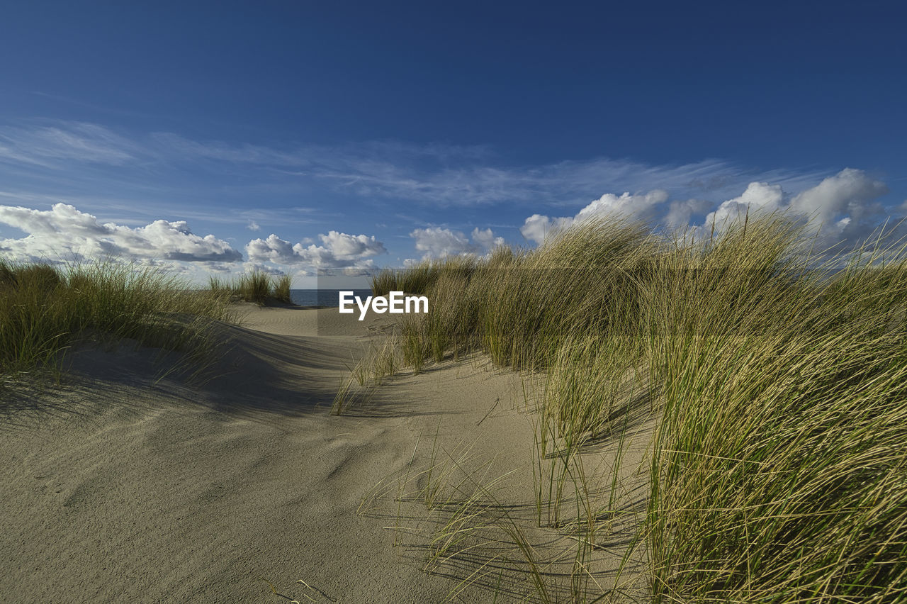 natural environment, land, sand, sky, dune, plant, sand dune, grass, nature, landscape, beach, cloud, marram grass, beauty in nature, environment, scenics - nature, sea, no people, tranquility, coast, water, horizon, day, field, outdoors, blue, shore, hill, tranquil scene, non-urban scene, travel, travel destinations, grassland, sunlight, tourism, tree, prairie, growth